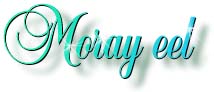 moray_title