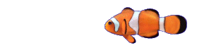 animated_clownfish