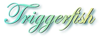 triggerfish_title