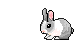 animated_bunny