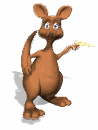 animated_kangaroo