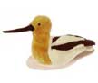 avocet
