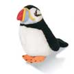 puffin