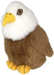 bald_eagle