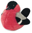 bullfinch