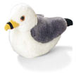 gull
