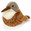 canyon_wren