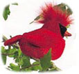 cardinal