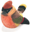 cedar_waxwing