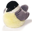 chickadee