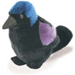 grackle