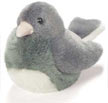 junco