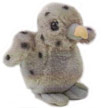 gull