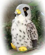 gryfalcon