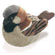 house_sparrow
