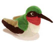 hummingbird