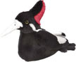 ivory_billed_woodpecker