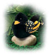 starling