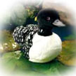 loon
