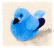 mountain_bluebird