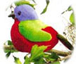 painted_bunting