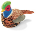 pheasant