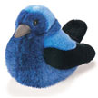 purple_martin