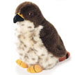 red_tailed_hawk