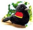 redwing_blackbird