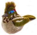 roadrunner