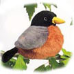 robin
