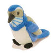 scrub_jay
