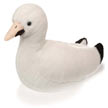 snow_goose