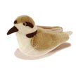 snowy_plover