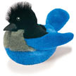 stellers_jay