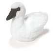 trumpeter_swan