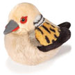 turtle_dove