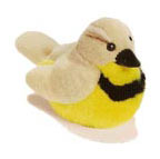 meadowlark