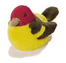 western_tanager
