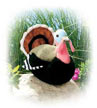 turkey