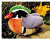 wood_duck