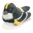 yellow_rumped_warbler