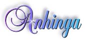 anhinga_title