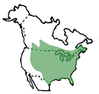 map_of_us