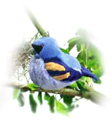plush_robin