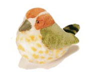 plush_cactus_wren