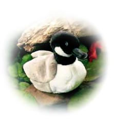 wild_republic_canada_goose