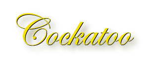 cockatoo_title