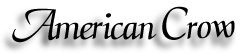 american_crow_title