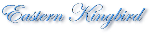 kingbird_title